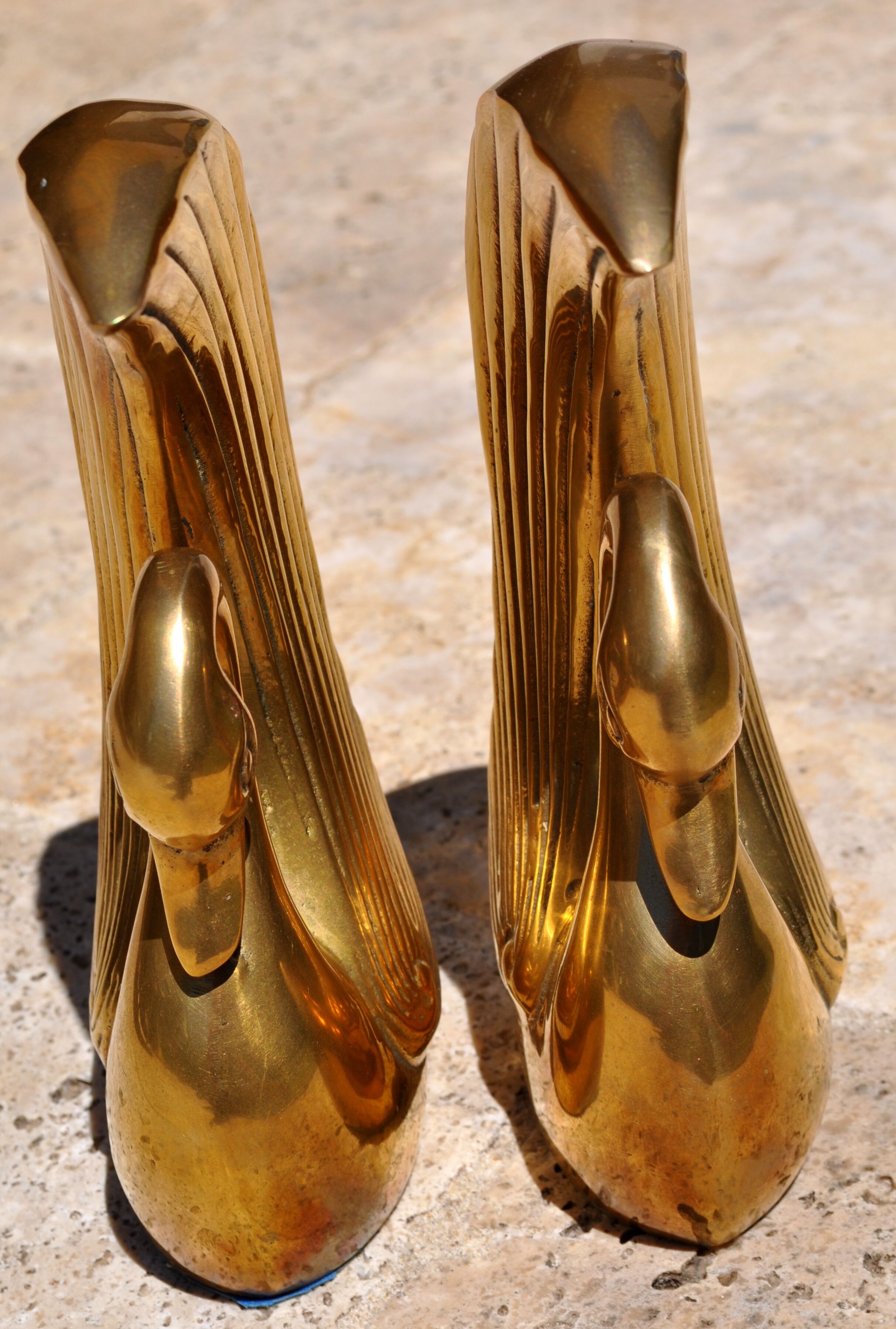 Greenhouse books brass Swan