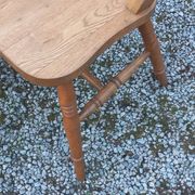 Set of 4 chairs and 1 armchair in mountain style made of oak.