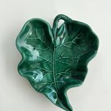 Empty green leaf pocket