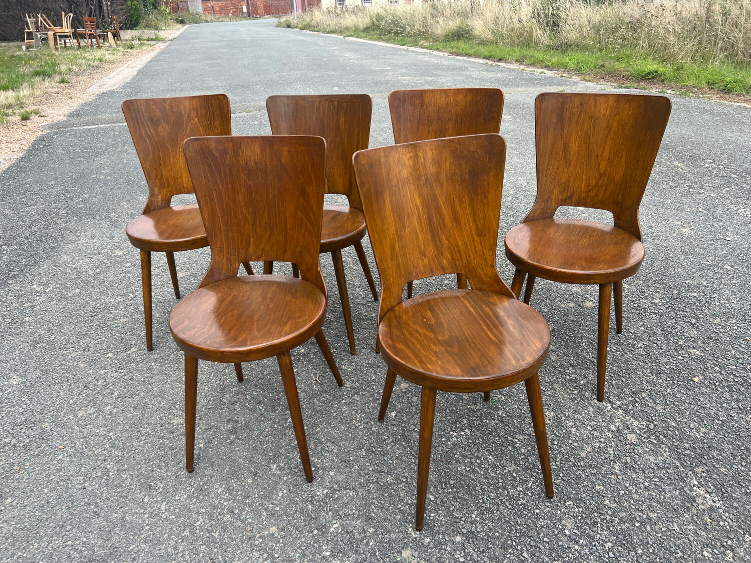 Suite of 6 Baumann chairs Dove model