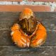 Vintage Polychrome Ceramic Lobster from VALLAURIS, France #D856