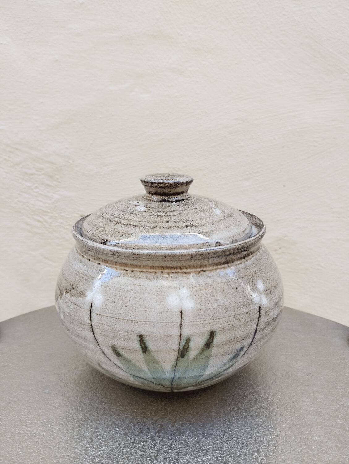 Covered enameled earthenware pot