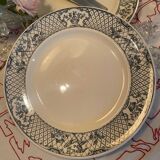 Set of 2 Mason's ironstone dinner plates