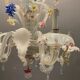 Italian harlequin chandelier in Venetian murano glass