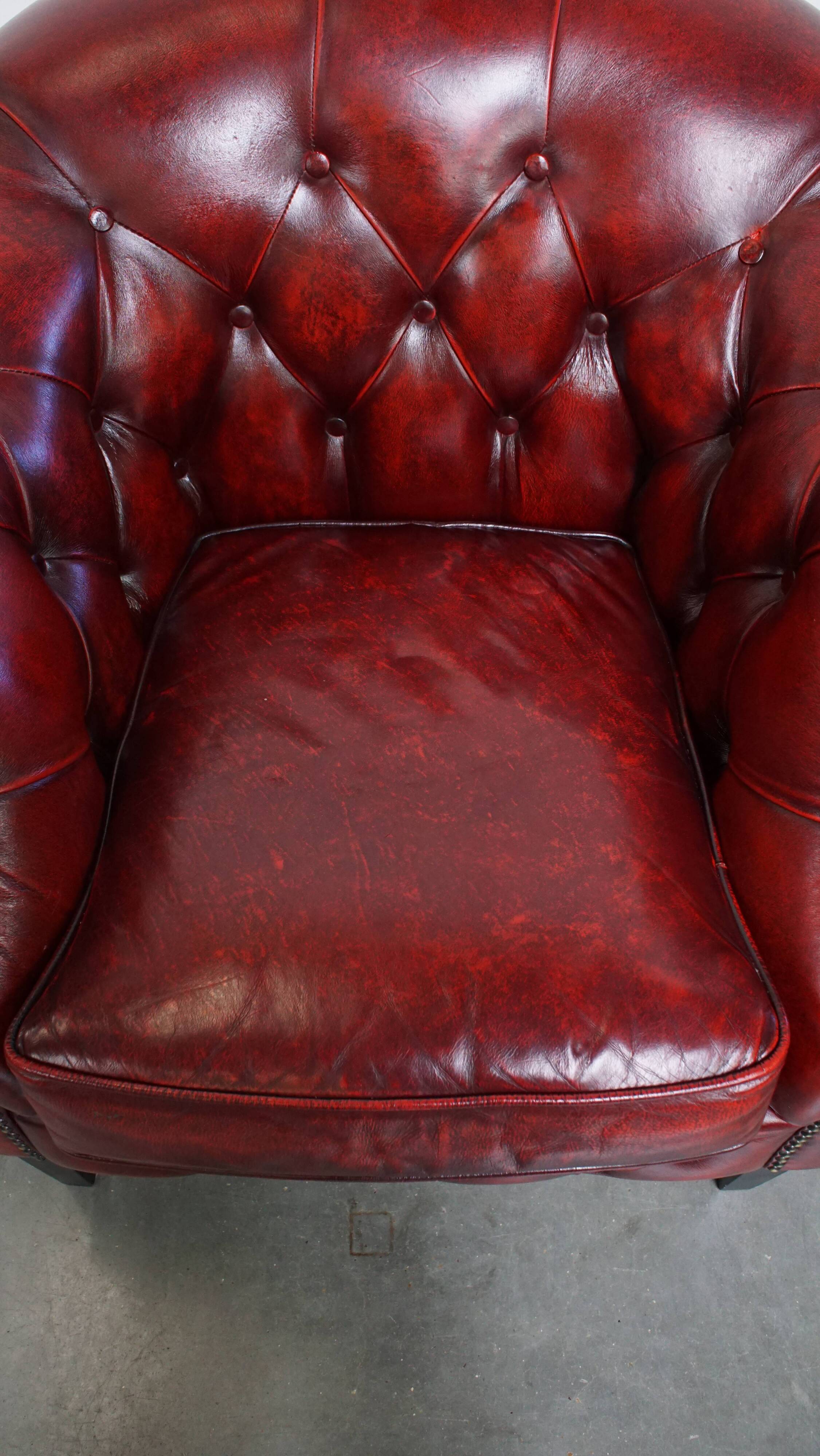 Ensemble de 6 fauteuils club Chesterfield en cuir de vache anglais
