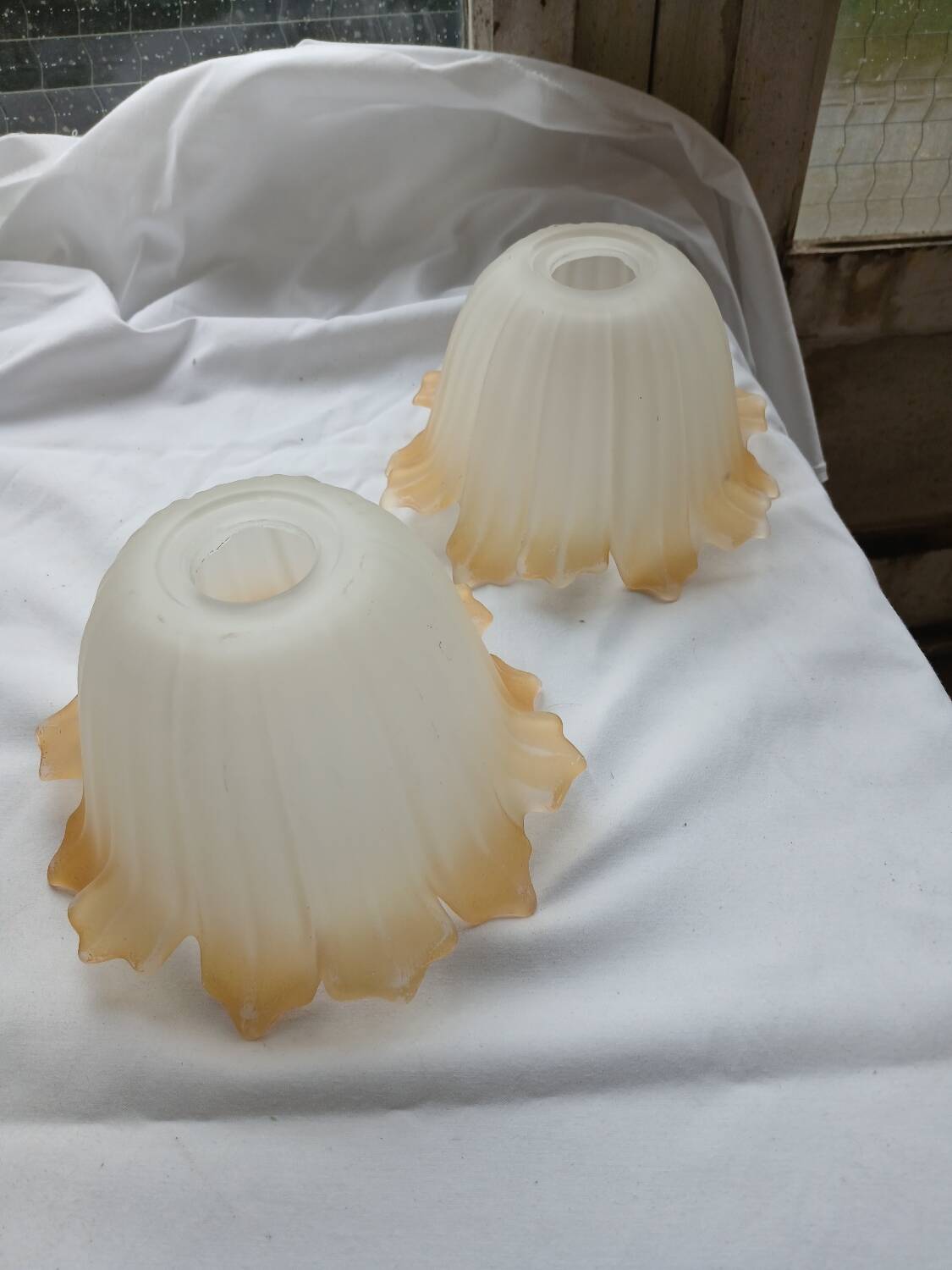 Pair of Art Deco glass tulips / pendant lights
