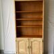 French vintage wooden bookcase