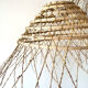 Date palm suspension