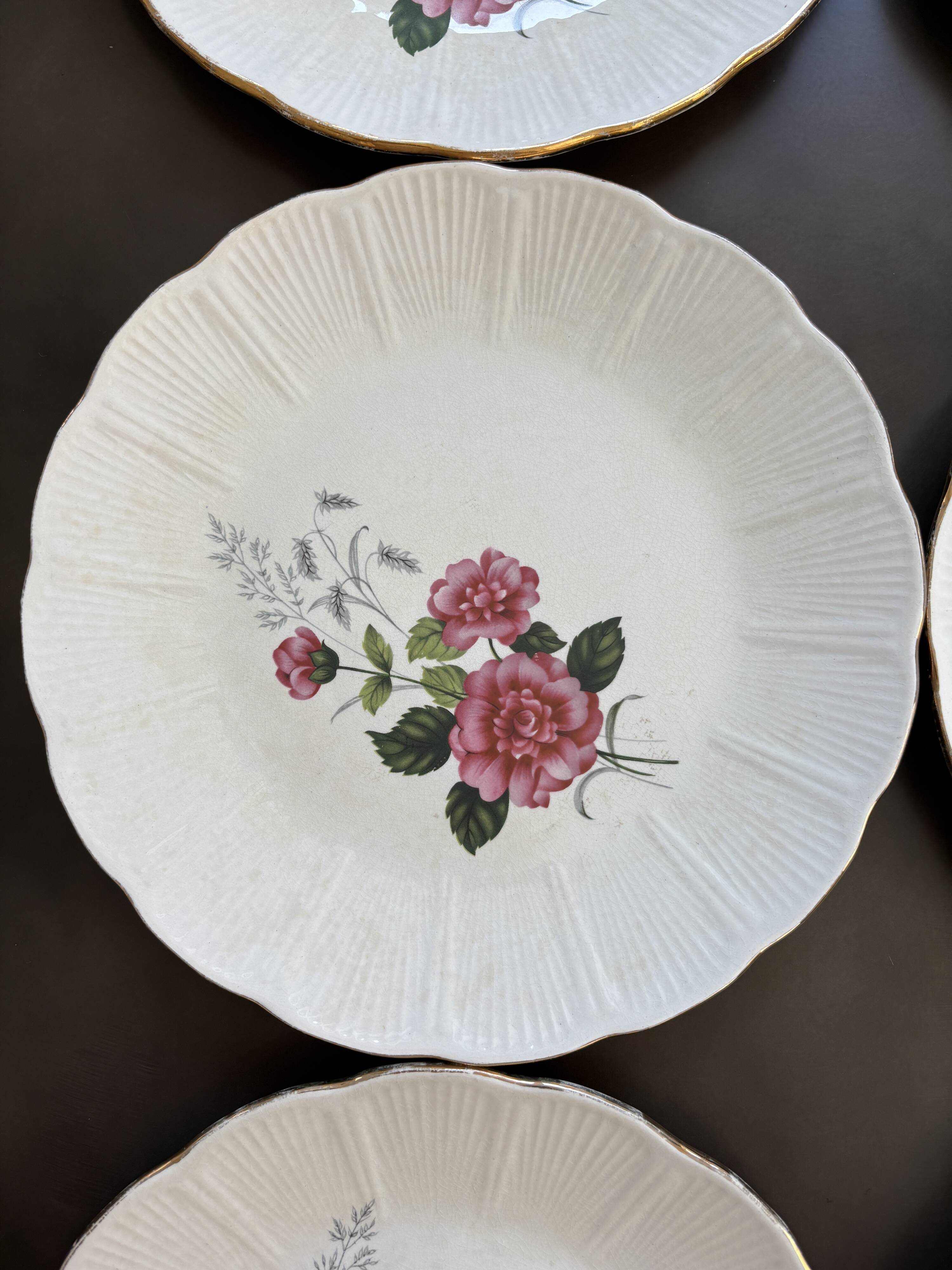 8 Amandinoise dinner plates
