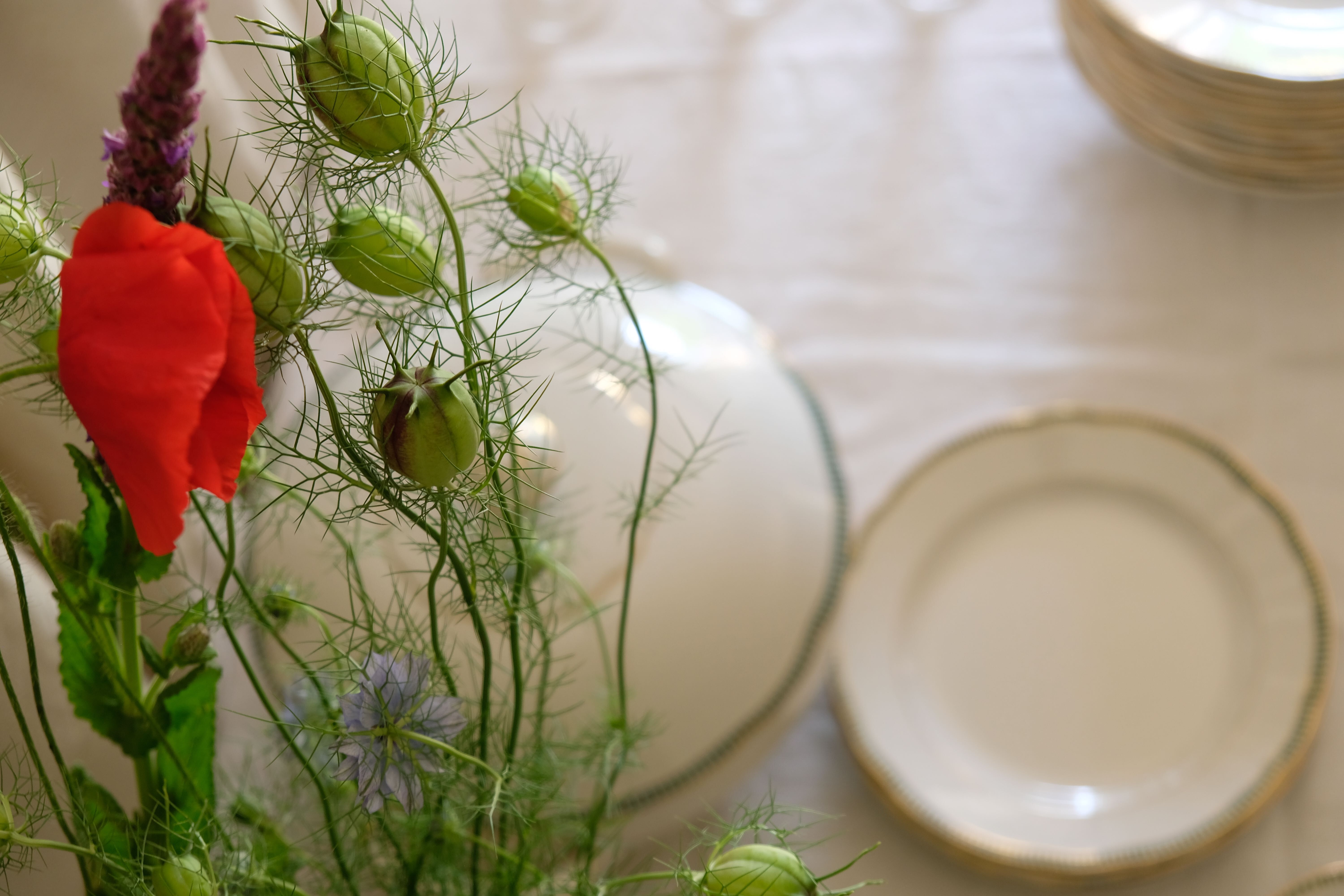 Set of 12 porcelain soup plates collection ''Juan'' Sarreguemine Digoin 1950