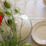 Set of 12 porcelain soup plates collection ''Juan'' Sarreguemine Digoin 1950