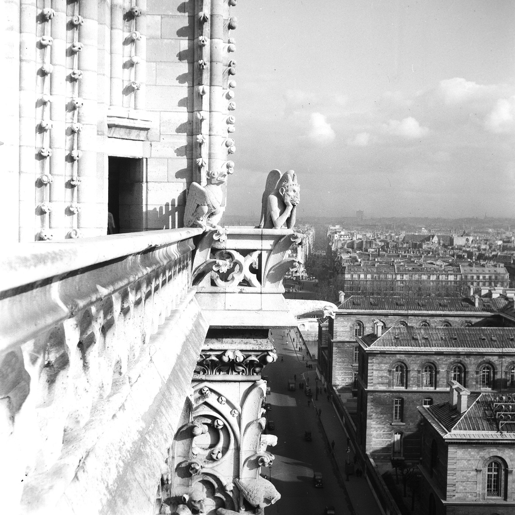 Silver photo print baryté Gargouille Notre dame de Paris. Format 40cmx40cm