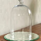 Antique cloche and its tray