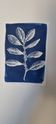 Cyanotype botanique