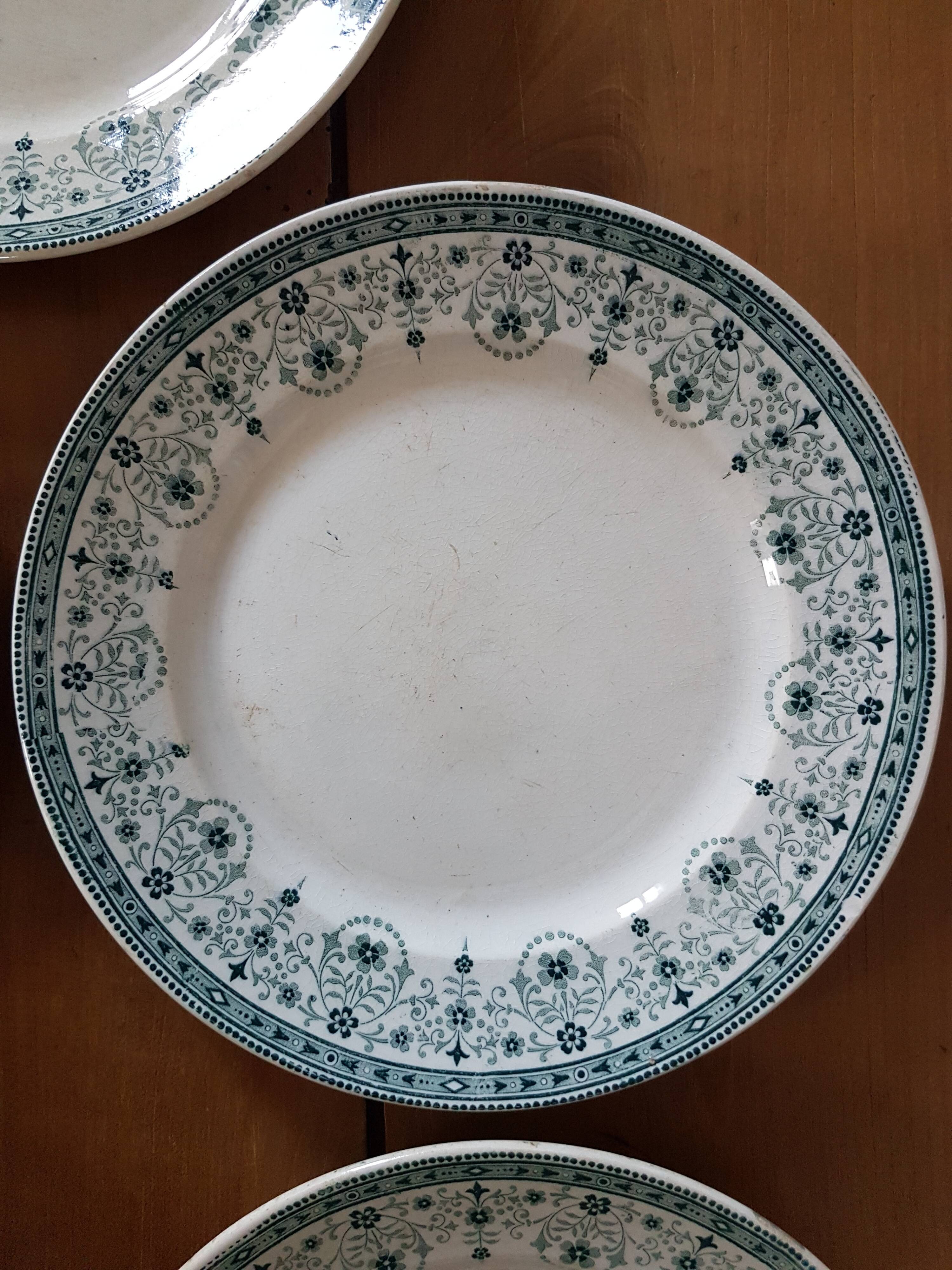 Flat plates wolf mill and hamage