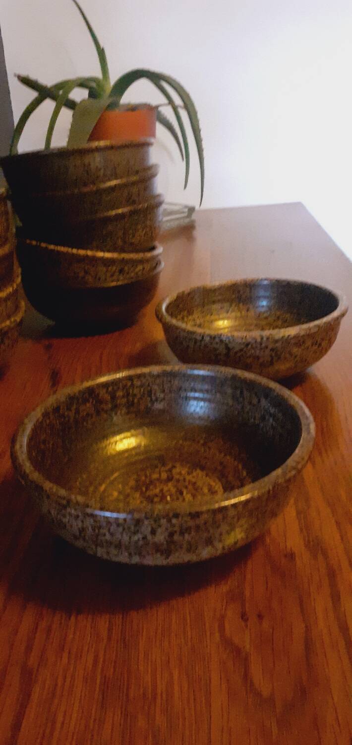 18 assiettes à soupe, jattes en grès de Salins les Bains année 60