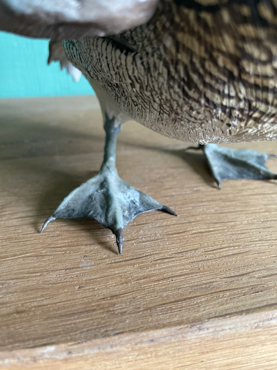 Polychrome terracotta duck