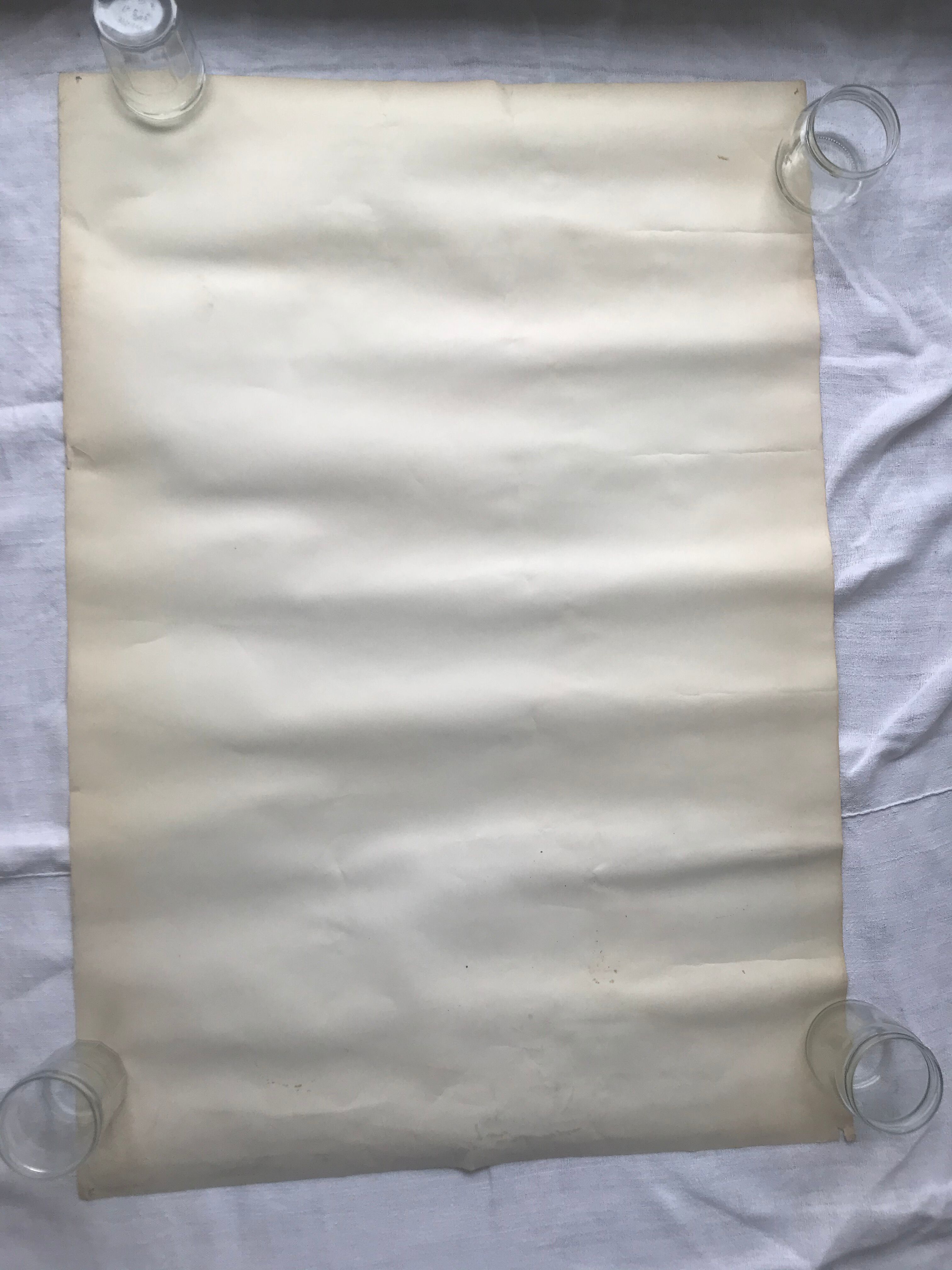 Poster Georges Braque litho offset 1956 - Three red birds -