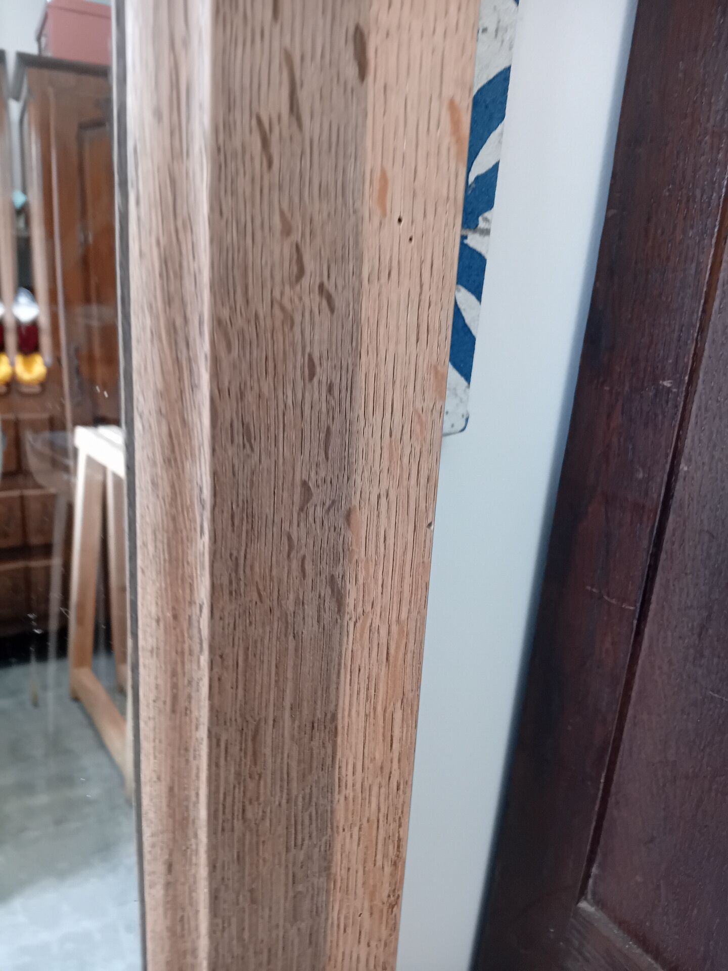 Mirror door