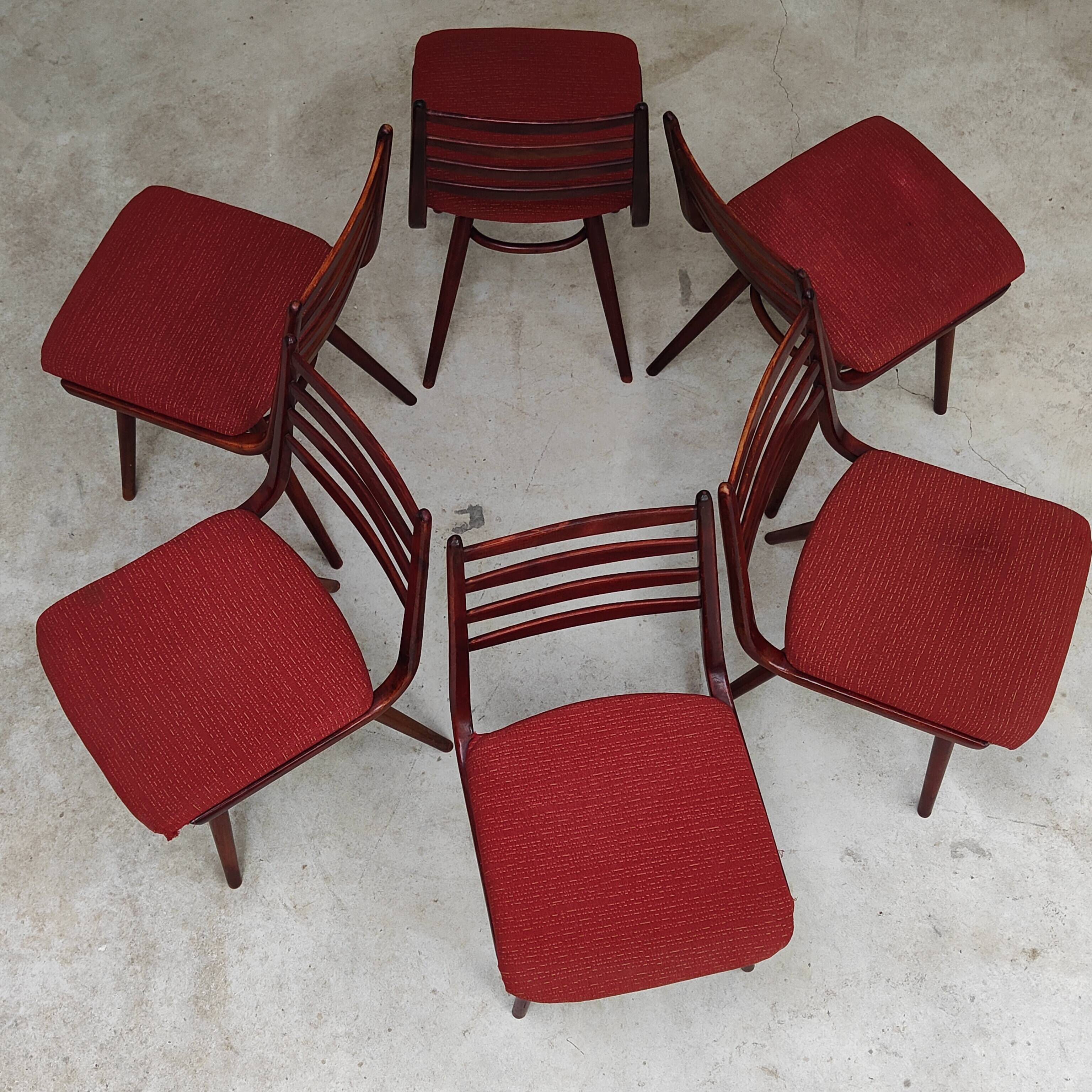 Lot de 6 chaises Jitona Sobeslav , Tchécoslovaquie 1960