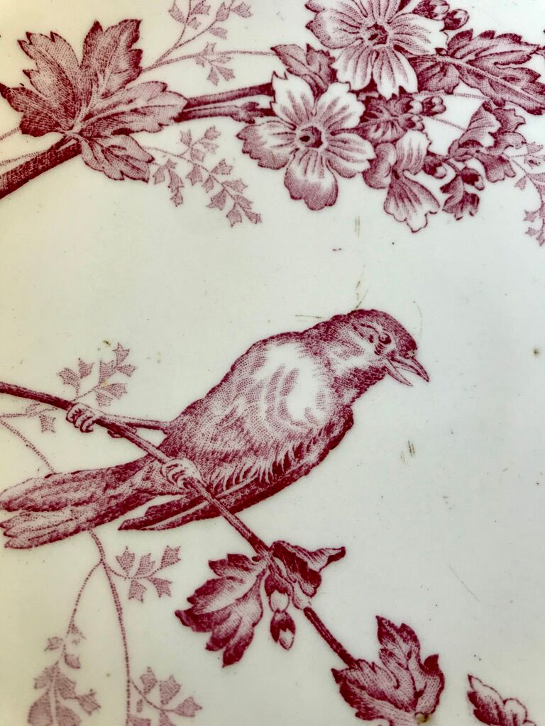 Compotier high in Terre de Fer Longwy model "Mésange" pink 1880 - XIXth