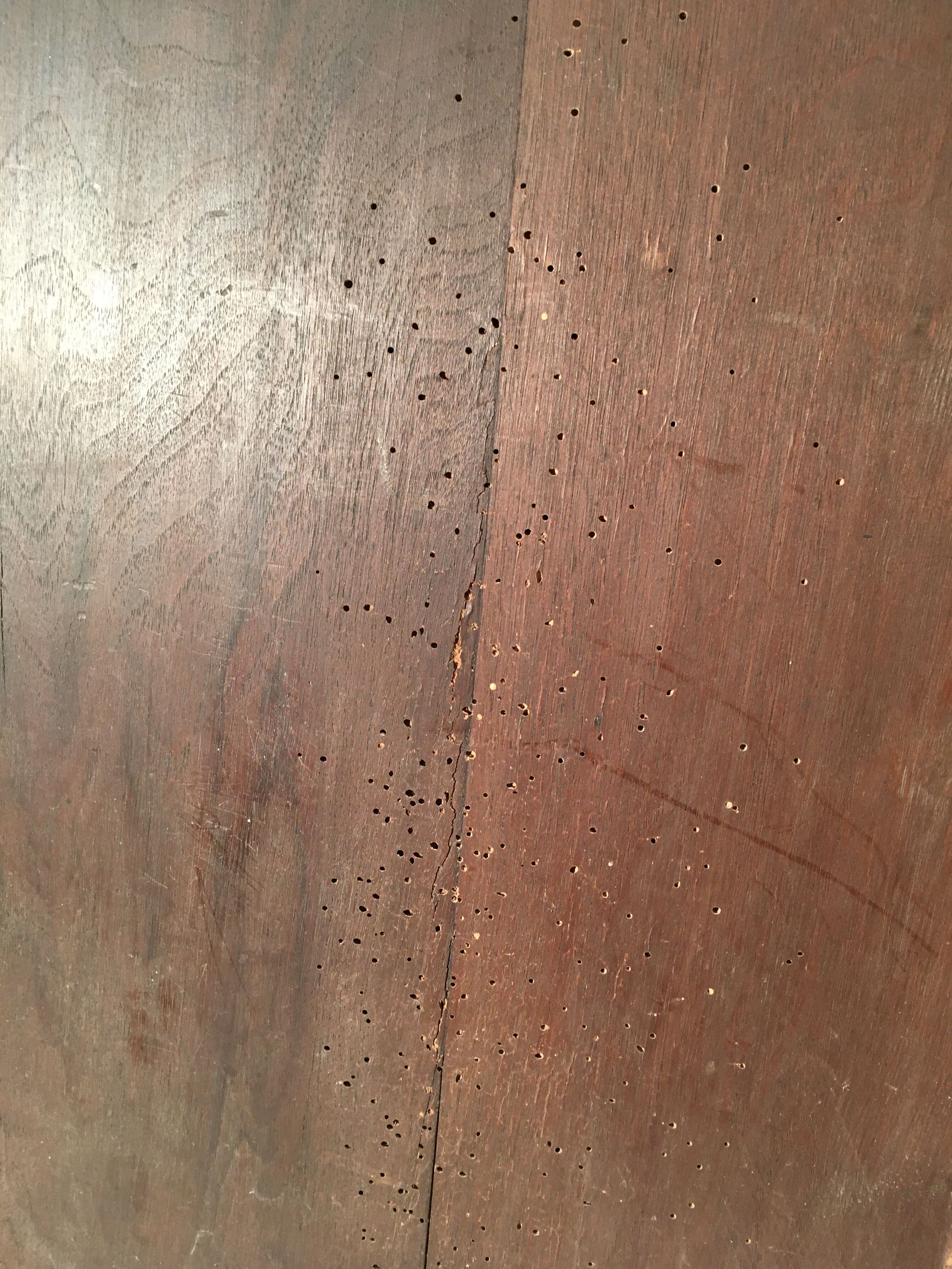 Facade of wooden cabinet door scultpté.