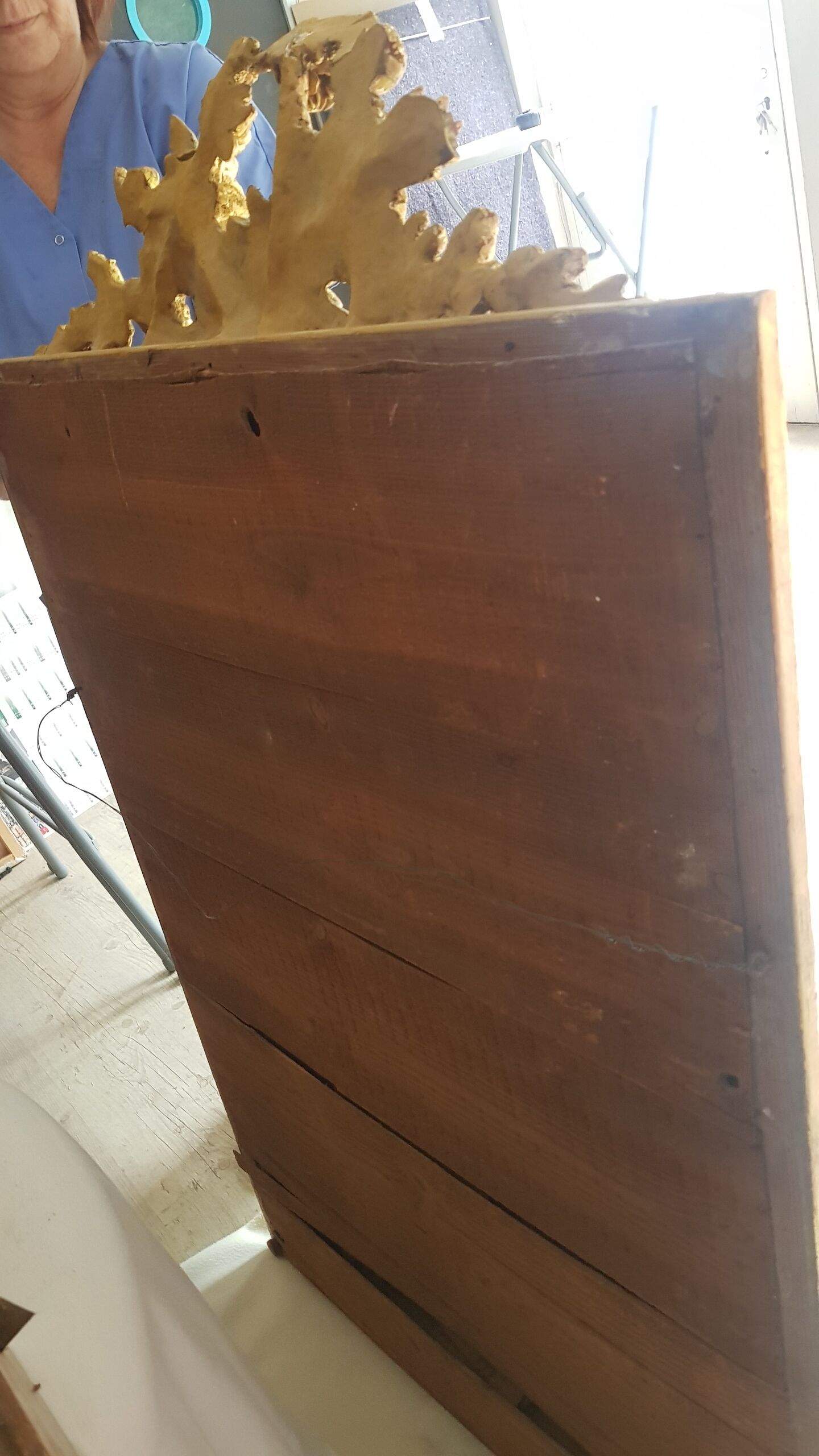 Golden parclose mirror