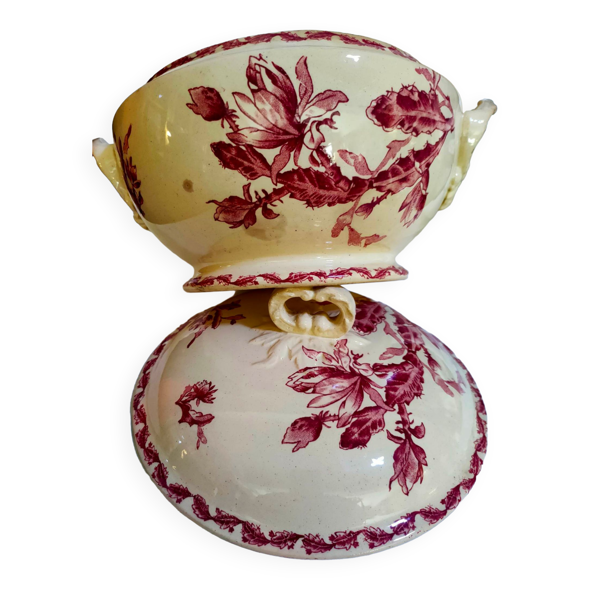 Earthenware tureen of Gien decoration Cactus