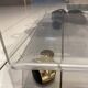 Table Roulante Desserte David Lange Plexiglas et Verre 4 Niveaux Vintage