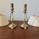 Pair of lamps in solid gold-plated brass