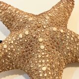 XXL Vintage Natural Starfish on Marble Base Cabinet of Curiosities