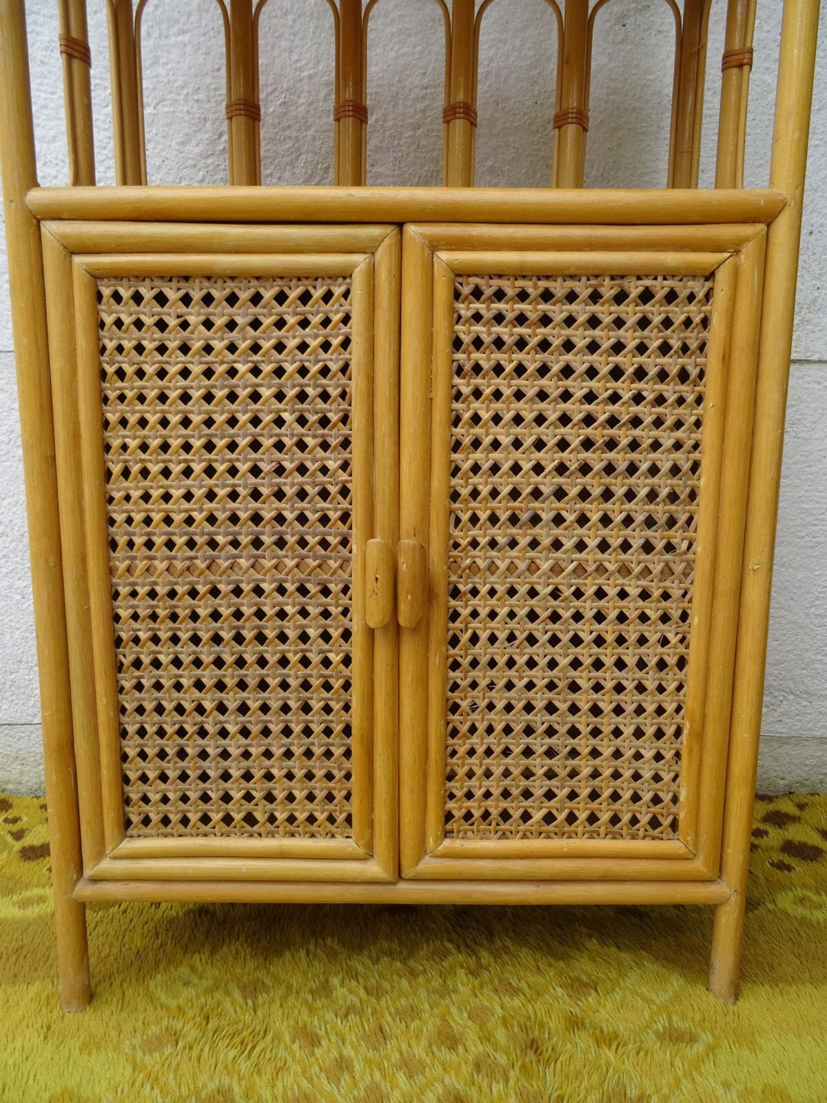 Canning rattan