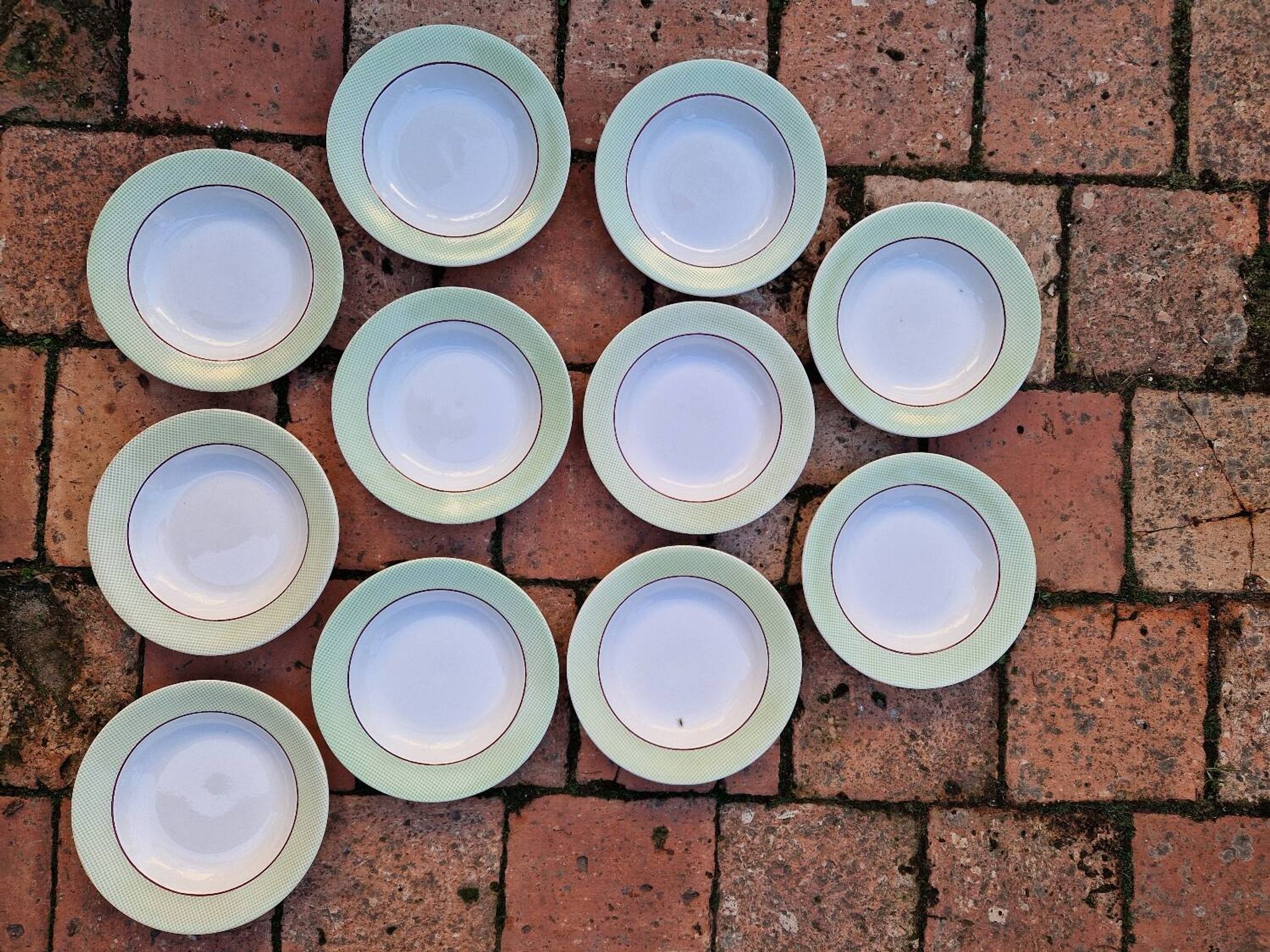 Set of 11 Isoard Pattern Soup Plates, Salins Manufacture