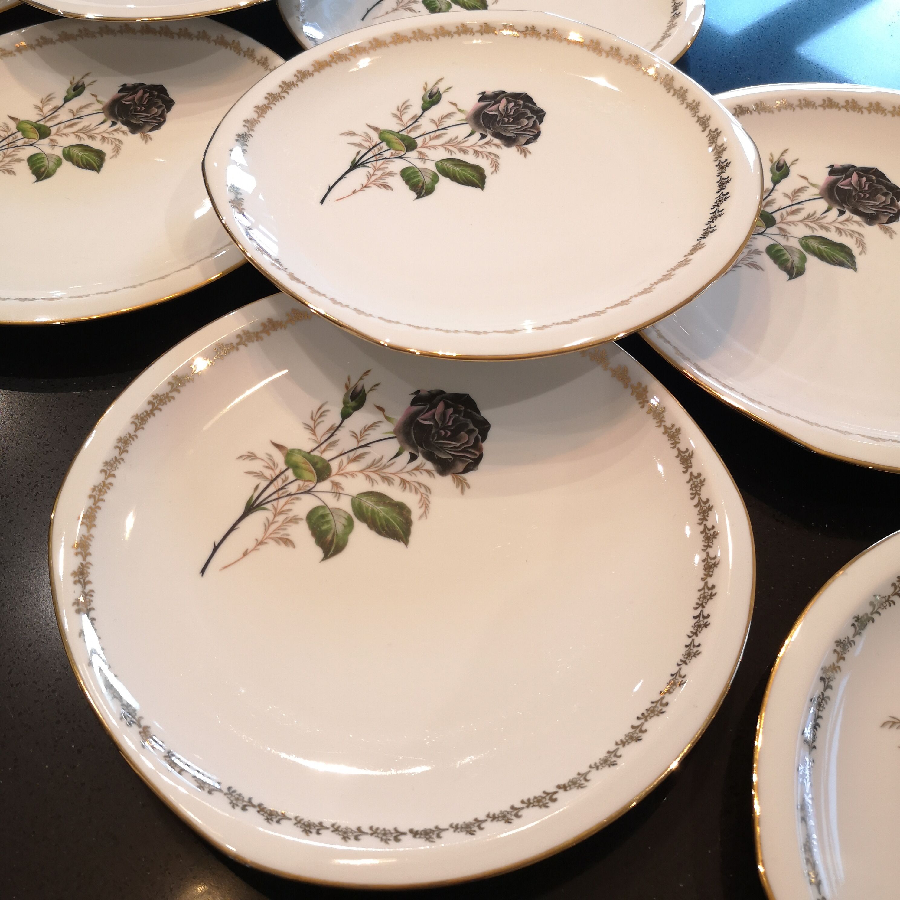 Service 16 porcelain plates from Limoges