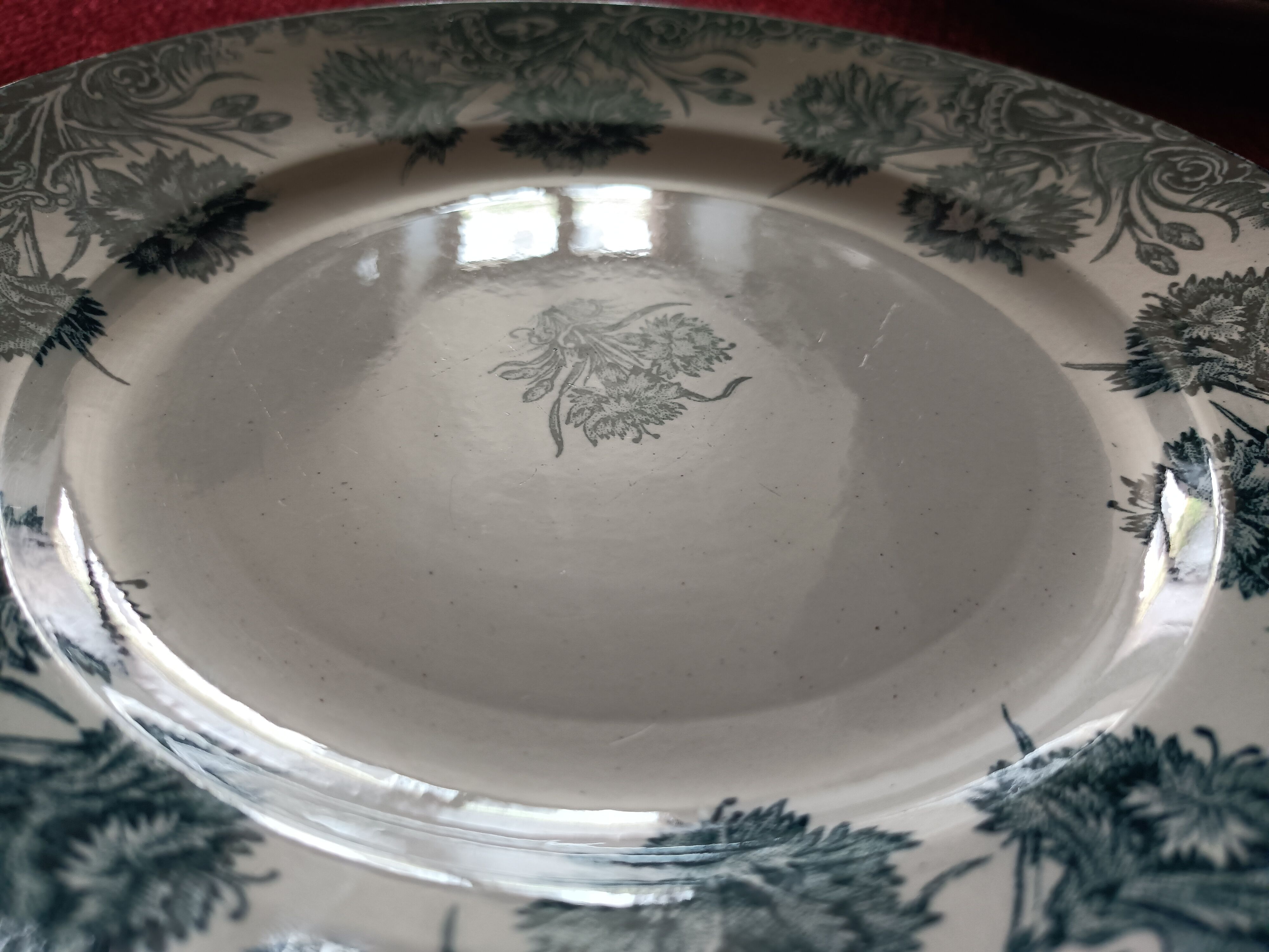 8 Plates Flat Earthenware Old Iron Earth Saint Amand Model Carnations.