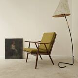 Boomerang armchair by Antonin Suman for Ton Bystrice Thonet 1960