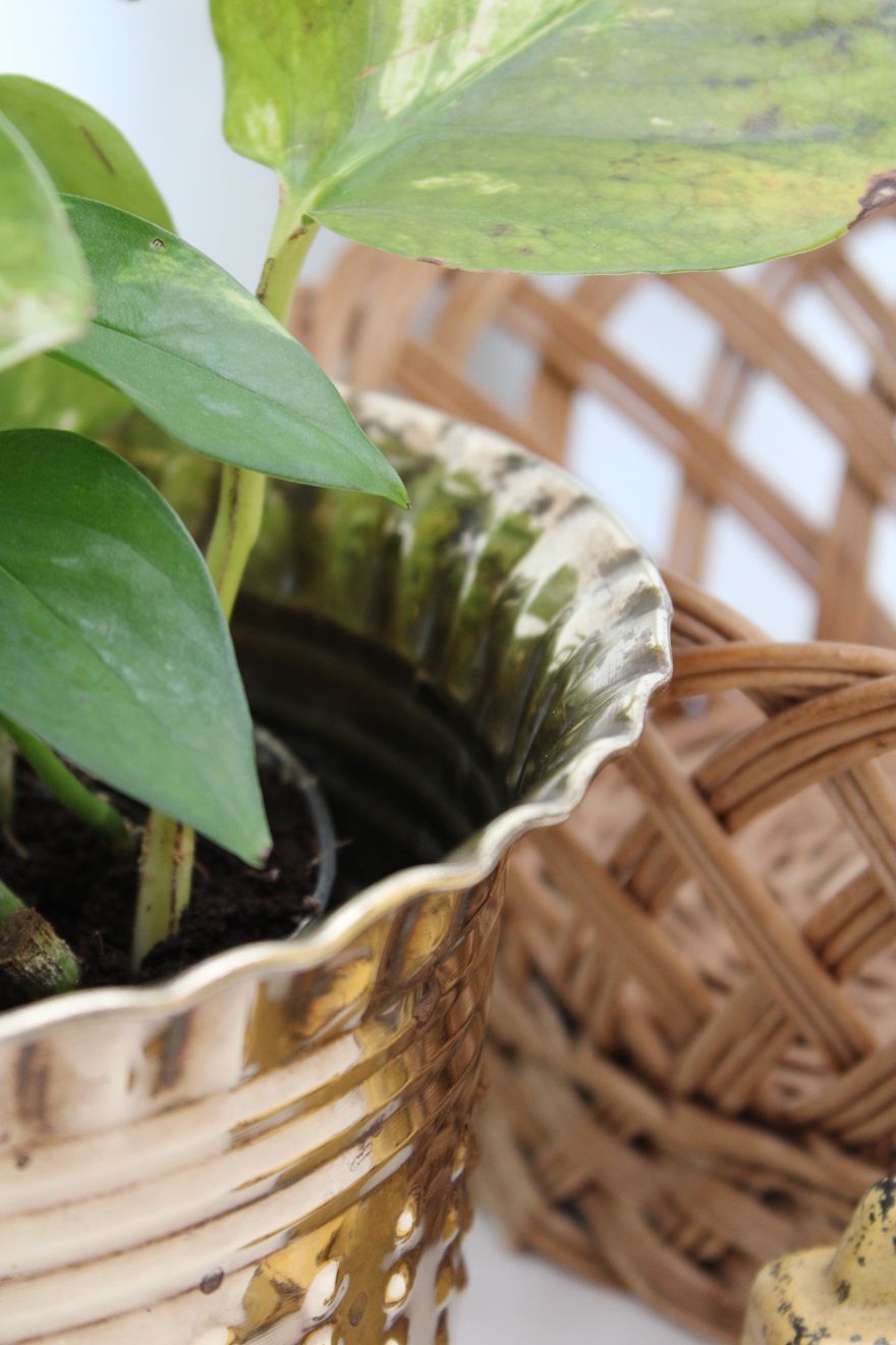 Golden pot cover
