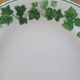 5 dessert plates and their matching bowl (Luciano)