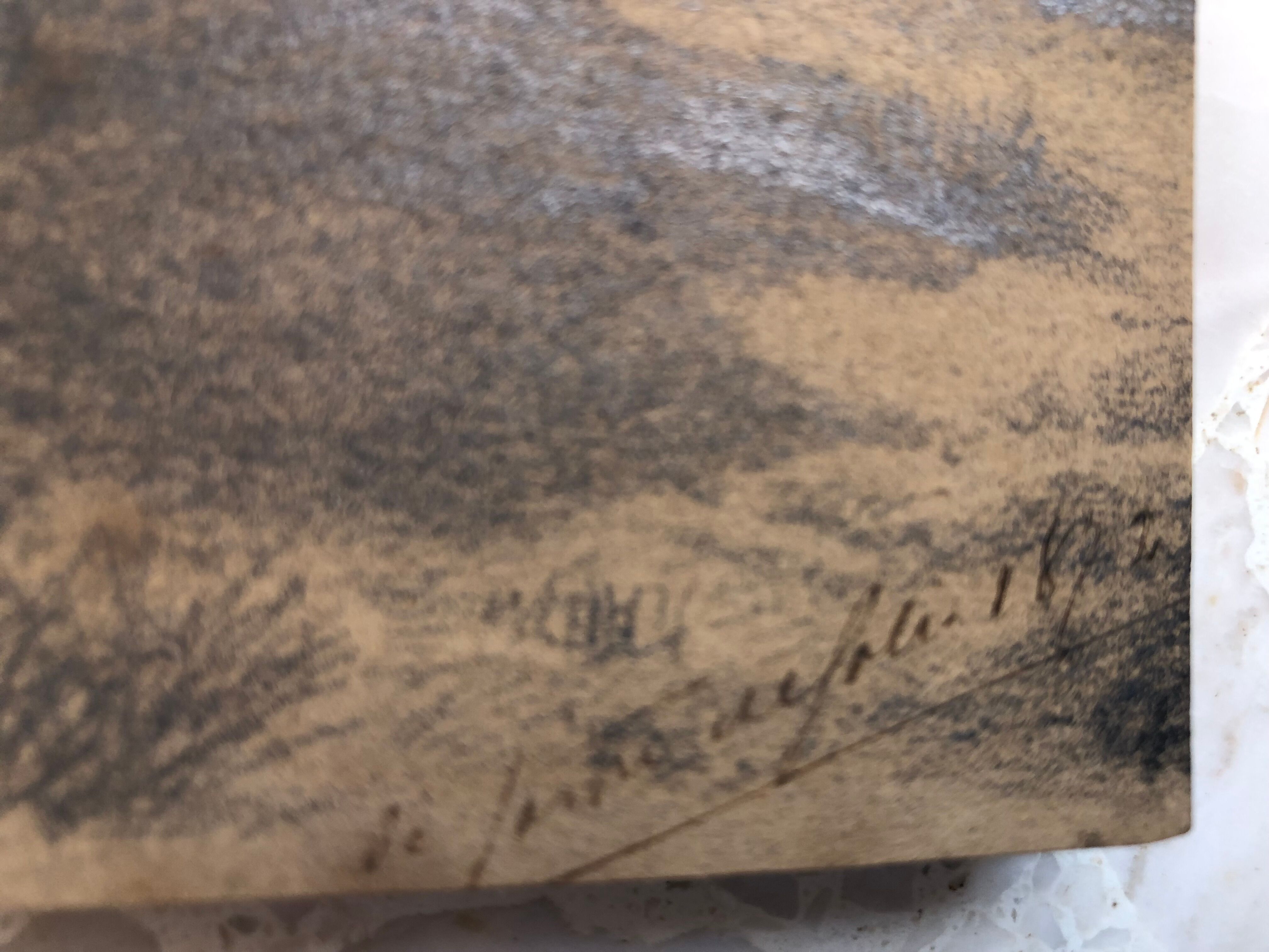 Collage drawings in graphite and white chalk 1872