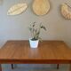 Vintage teak table with extensions