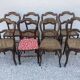 8 chairs louis philippe