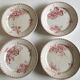 Set of 12 dinner plates of Sarreguemines land of iron décor Vega early 20th