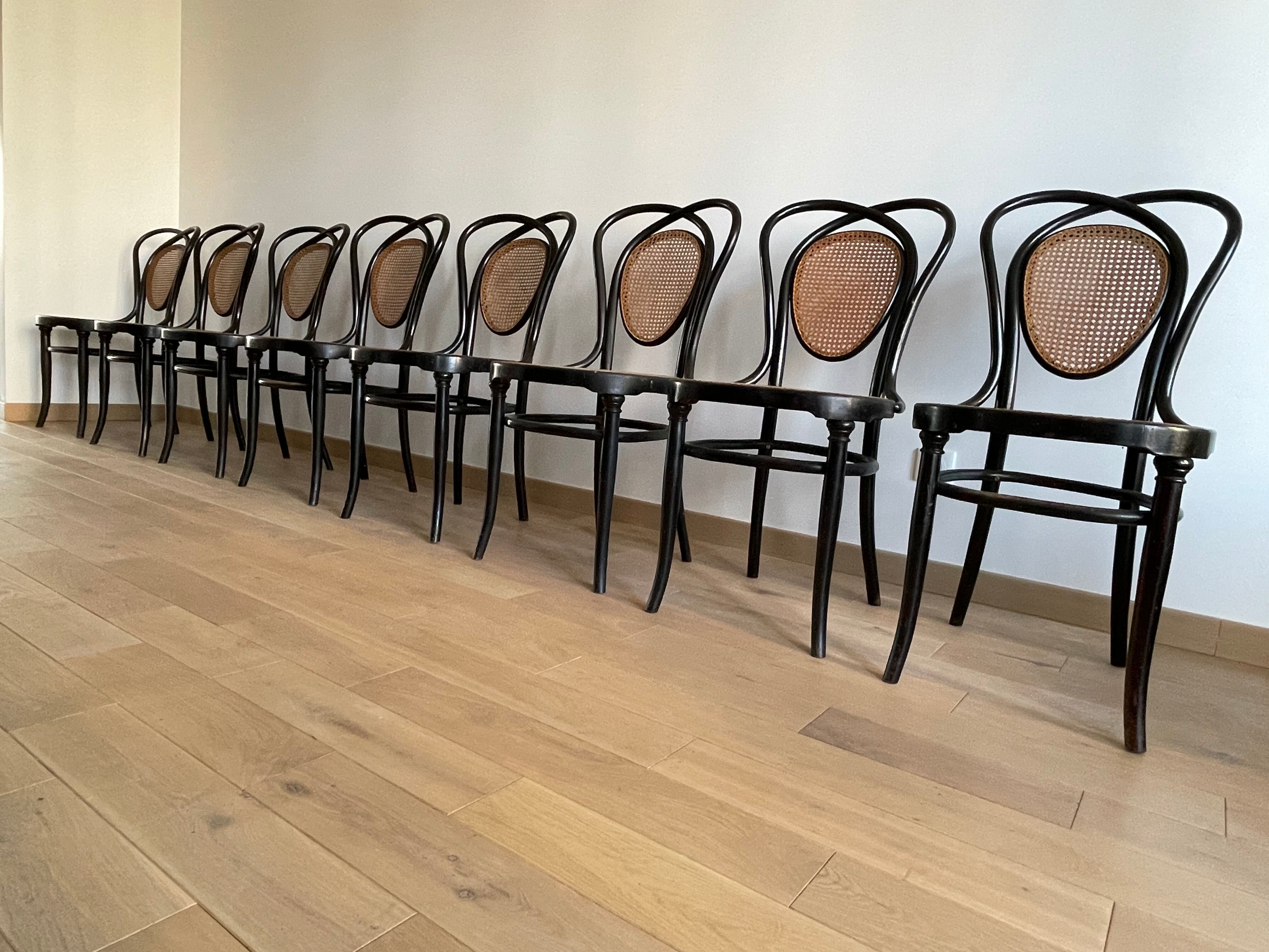 Series of 8 Viennese chairs N.33 by J&J Kohn, 1900