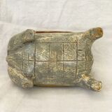Wooden turtle box