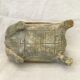 Wooden turtle box
