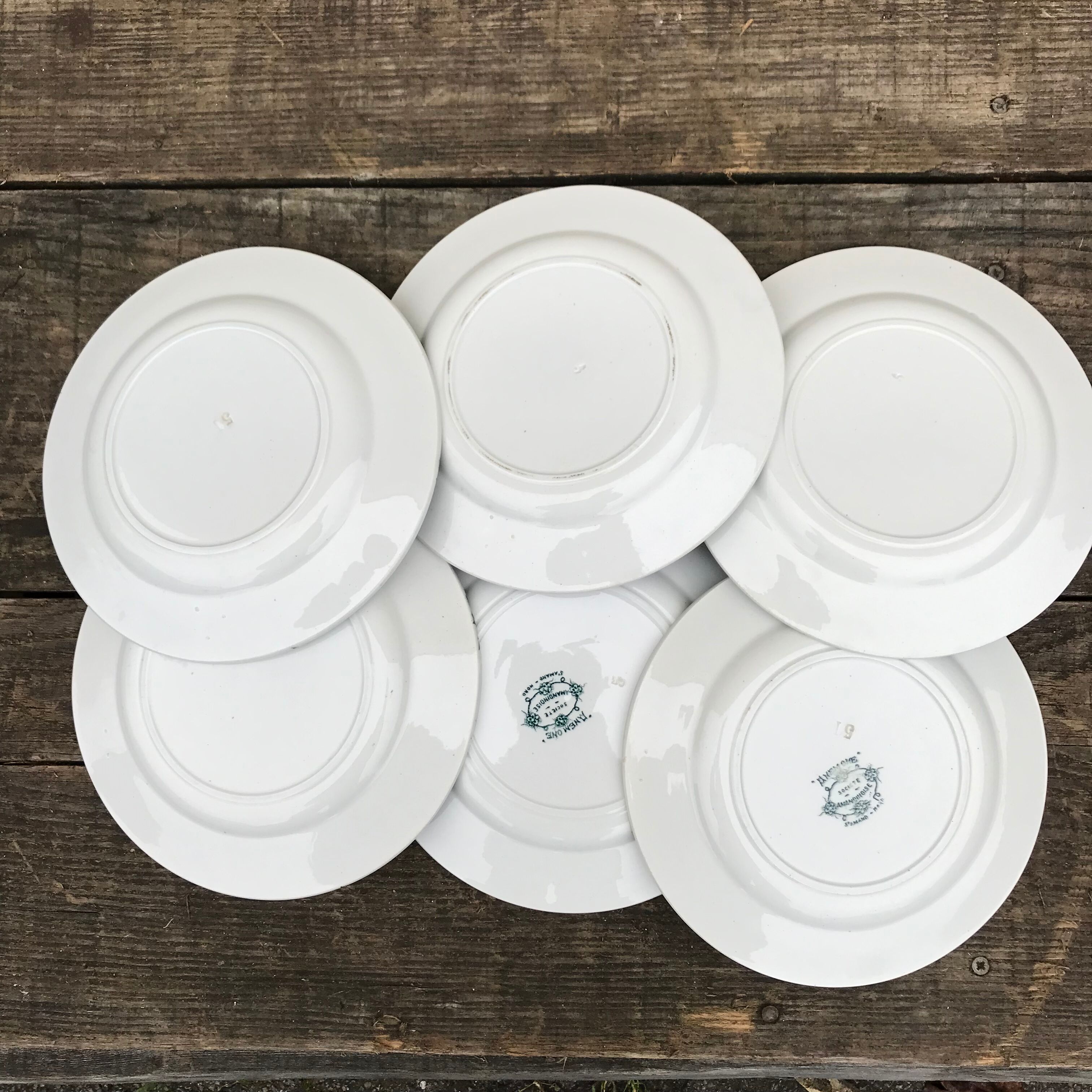 6 old flat plates in iron earth Anémones St Amand