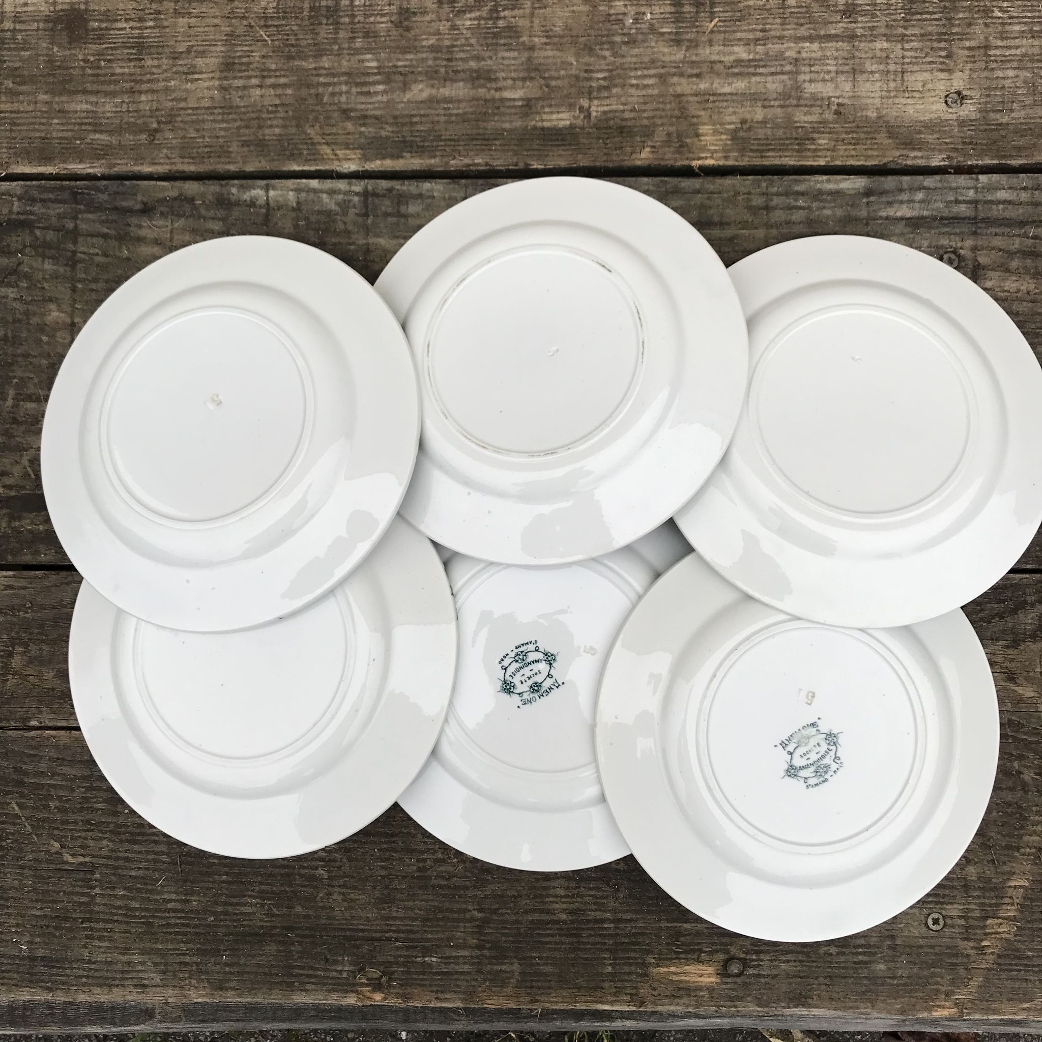 6 old flat plates in iron earth Anémones St Amand