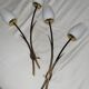 Paire appliques vintage Lunel roseaux 1960