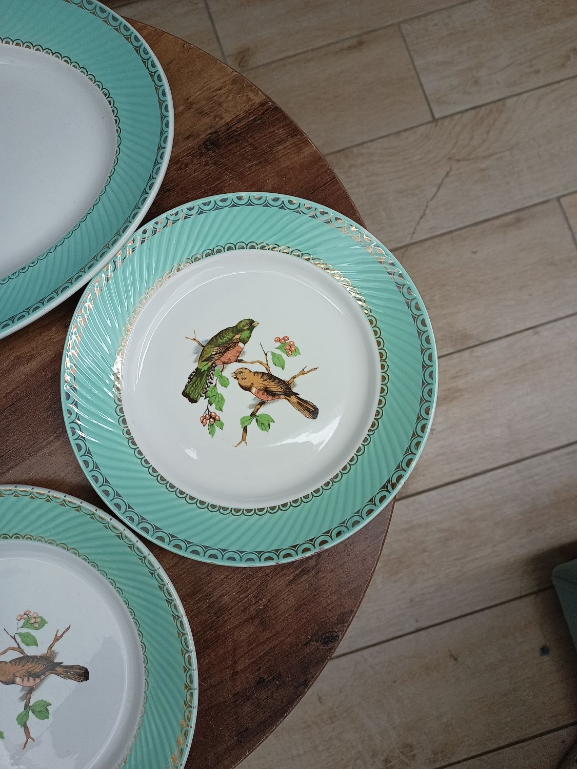 Lot 1 large oval dish and 3 bird plates Green background