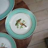 Lot 1 large oval dish and 3 bird plates Green background
